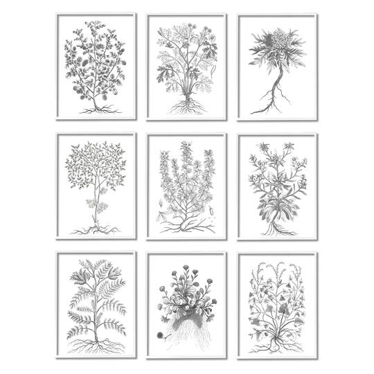 Stupell Industries Vintage Plant Study Black White Illustration Leaves Roots
